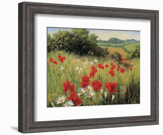 Sunlit Meadow-Mary Dipnall-Framed Art Print