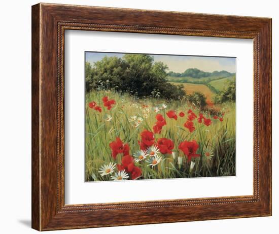 Sunlit Meadow-Mary Dipnall-Framed Art Print