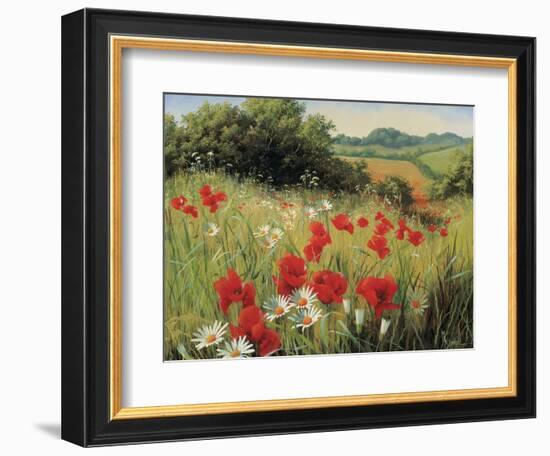 Sunlit Meadow-Mary Dipnall-Framed Art Print