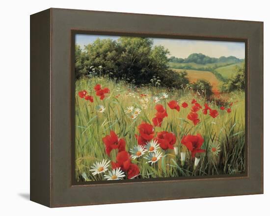 Sunlit Meadow-Mary Dipnall-Framed Stretched Canvas