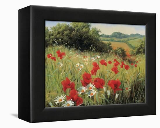 Sunlit Meadow-Mary Dipnall-Framed Stretched Canvas