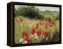 Sunlit Meadow-Mary Dipnall-Framed Stretched Canvas