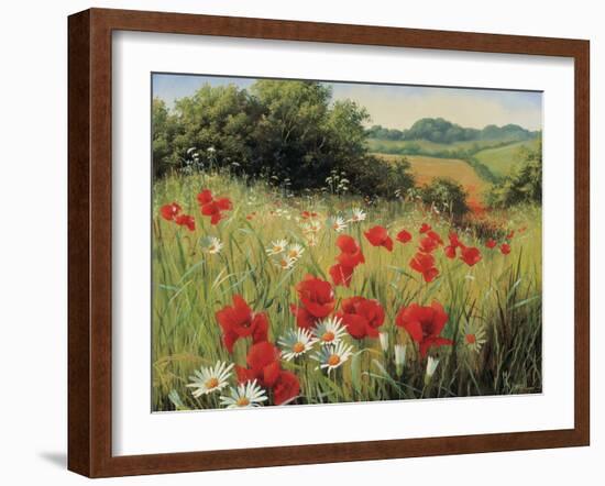 Sunlit Meadow-Mary Dipnall-Framed Art Print