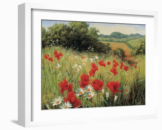 Sunlit Meadow-Mary Dipnall-Framed Art Print