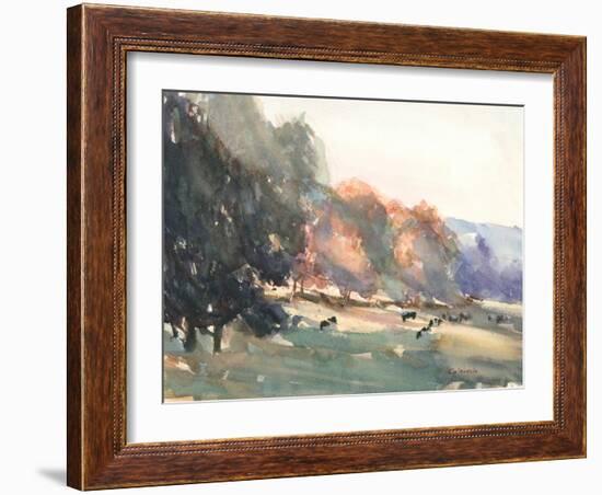 Sunlit Pasture II-Stephen Calcasola-Framed Art Print