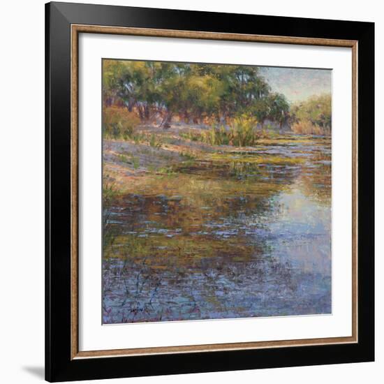 Sunlit Pond 1-Sarback-Framed Giclee Print