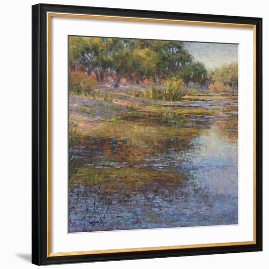 Sunlit Pond 1-Sarback-Framed Giclee Print