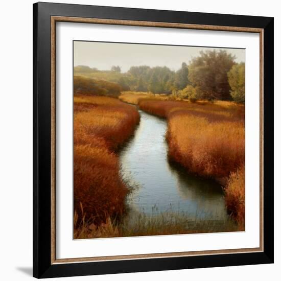 Sunlit Pond I-Madeline Clark-Framed Art Print