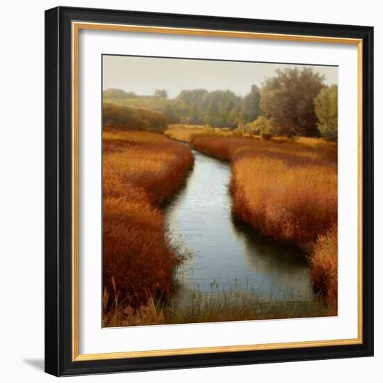 Sunlit Pond I-Madeline Clark-Framed Art Print