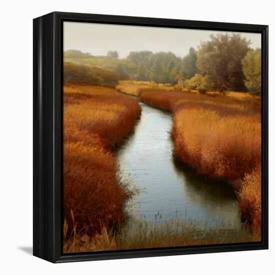 Sunlit Pond I-Madeline Clark-Framed Stretched Canvas