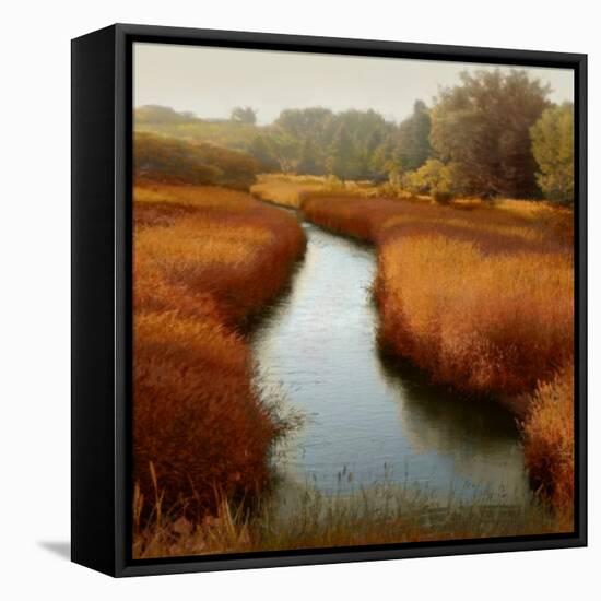 Sunlit Pond I-Madeline Clark-Framed Stretched Canvas