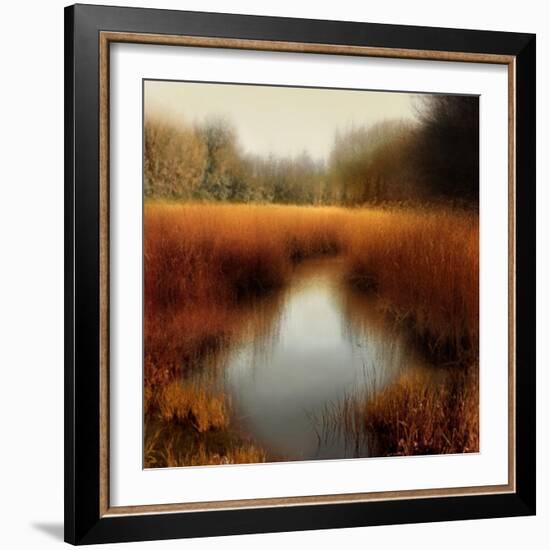 Sunlit Pond II-Madeline Clark-Framed Art Print