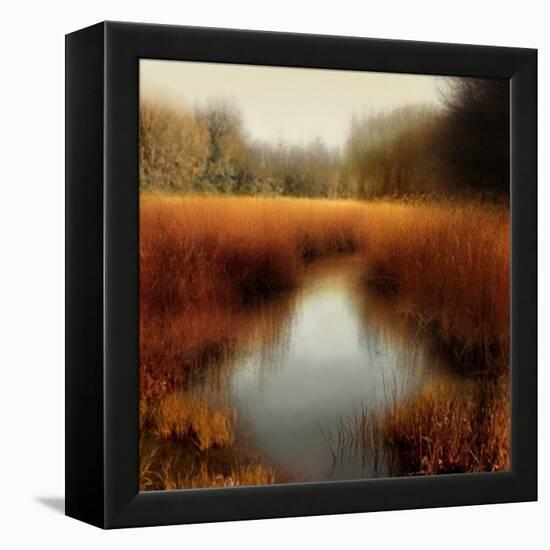 Sunlit Pond II-Madeline Clark-Framed Stretched Canvas