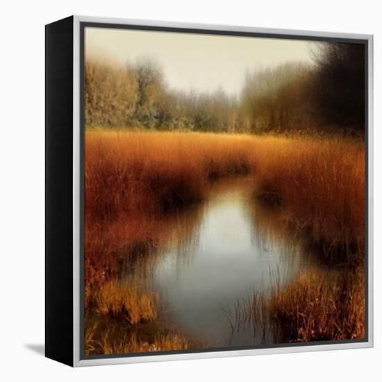 Sunlit Pond II-Madeline Clark-Framed Stretched Canvas