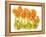 Sunlit Poppies I-Cheryl Baynes-Framed Stretched Canvas
