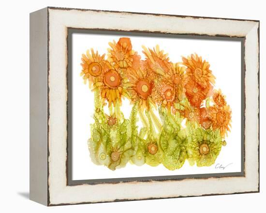 Sunlit Poppies I-Cheryl Baynes-Framed Stretched Canvas