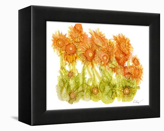 Sunlit Poppies I-Cheryl Baynes-Framed Stretched Canvas