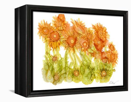 Sunlit Poppies I-Cheryl Baynes-Framed Stretched Canvas