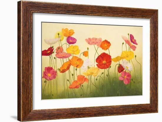 Sunlit Poppies-Janelle Kroner-Framed Art Print