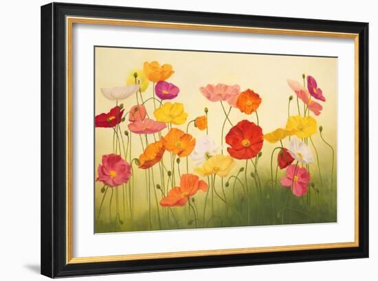 Sunlit Poppies-Janelle Kroner-Framed Art Print