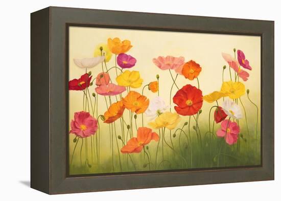 Sunlit Poppies-Janelle Kroner-Framed Stretched Canvas