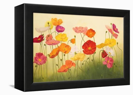 Sunlit Poppies-Janelle Kroner-Framed Stretched Canvas