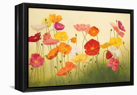 Sunlit Poppies-Janelle Kroner-Framed Stretched Canvas