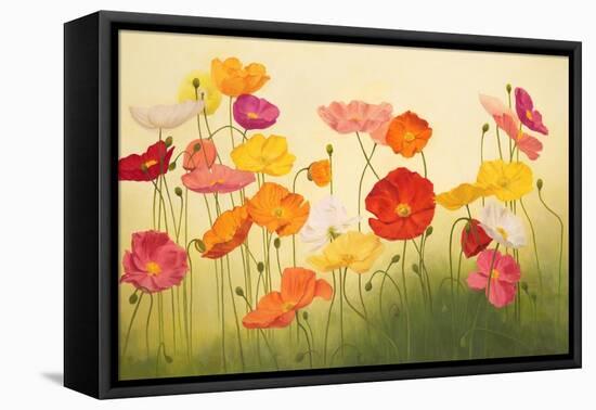 Sunlit Poppies-Janelle Kroner-Framed Stretched Canvas