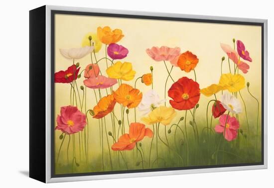 Sunlit Poppies-Janelle Kroner-Framed Stretched Canvas