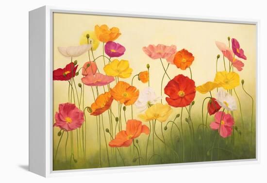 Sunlit Poppies-Janelle Kroner-Framed Stretched Canvas