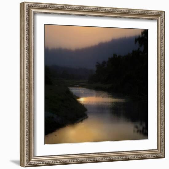 Sunlit River-Madeline Clark-Framed Art Print