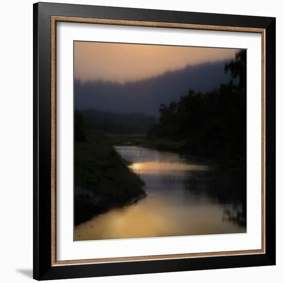Sunlit River-Madeline Clark-Framed Art Print