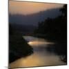 Sunlit River-Madeline Clark-Mounted Art Print