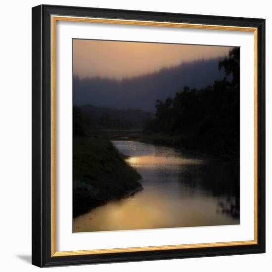 Sunlit River-Madeline Clark-Framed Art Print