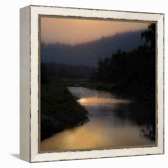 Sunlit River-Madeline Clark-Framed Stretched Canvas