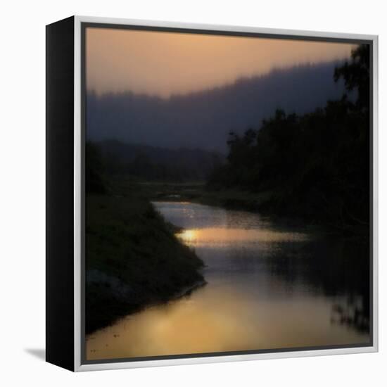 Sunlit River-Madeline Clark-Framed Stretched Canvas