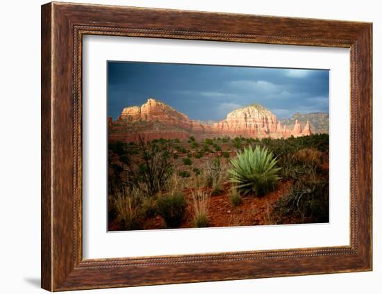 Sunlit Rocks-Doug Nelson-Framed Art Print