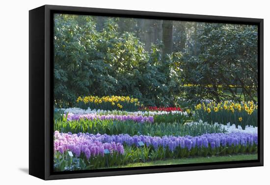 Sunlit Spring Garden with Hyacinth and Daffodils-Anna Miller-Framed Premier Image Canvas