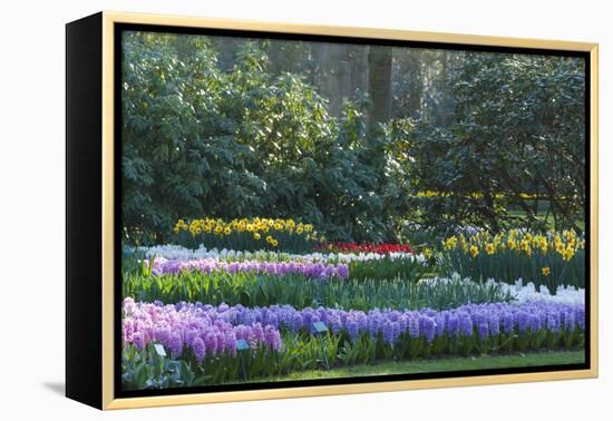 Sunlit Spring Garden with Hyacinth and Daffodils-Anna Miller-Framed Premier Image Canvas