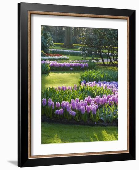 Sunlit Spring Garden with Hyacinth and Daffodils-Anna Miller-Framed Photographic Print