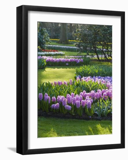 Sunlit Spring Garden with Hyacinth and Daffodils-Anna Miller-Framed Photographic Print