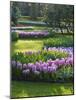 Sunlit Spring Garden with Hyacinth and Daffodils-Anna Miller-Mounted Photographic Print