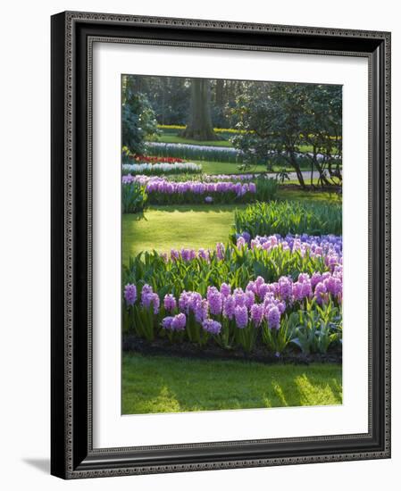 Sunlit Spring Garden with Hyacinth and Daffodils-Anna Miller-Framed Photographic Print