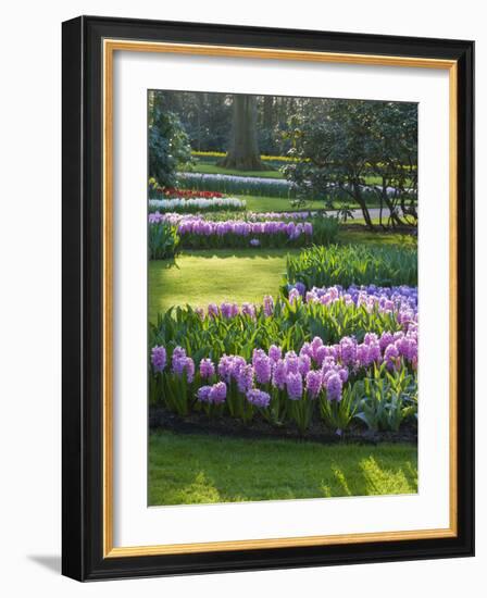 Sunlit Spring Garden with Hyacinth and Daffodils-Anna Miller-Framed Photographic Print