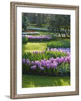 Sunlit Spring Garden with Hyacinth and Daffodils-Anna Miller-Framed Photographic Print