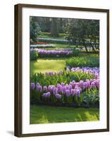 Sunlit Spring Garden with Hyacinth and Daffodils-Anna Miller-Framed Photographic Print