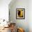 Sunlit Sunflowers II-Monika Burkhart-Framed Photographic Print displayed on a wall