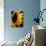 Sunlit Sunflowers II-Monika Burkhart-Photographic Print displayed on a wall