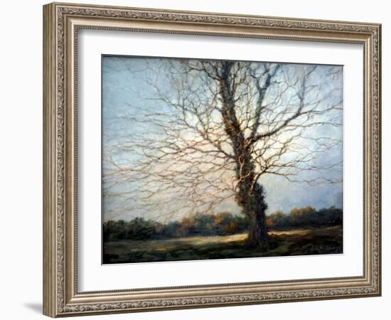 Sunlit Tree-Richard Willis-Framed Giclee Print