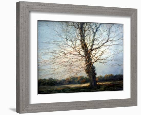 Sunlit Tree-Richard Willis-Framed Giclee Print